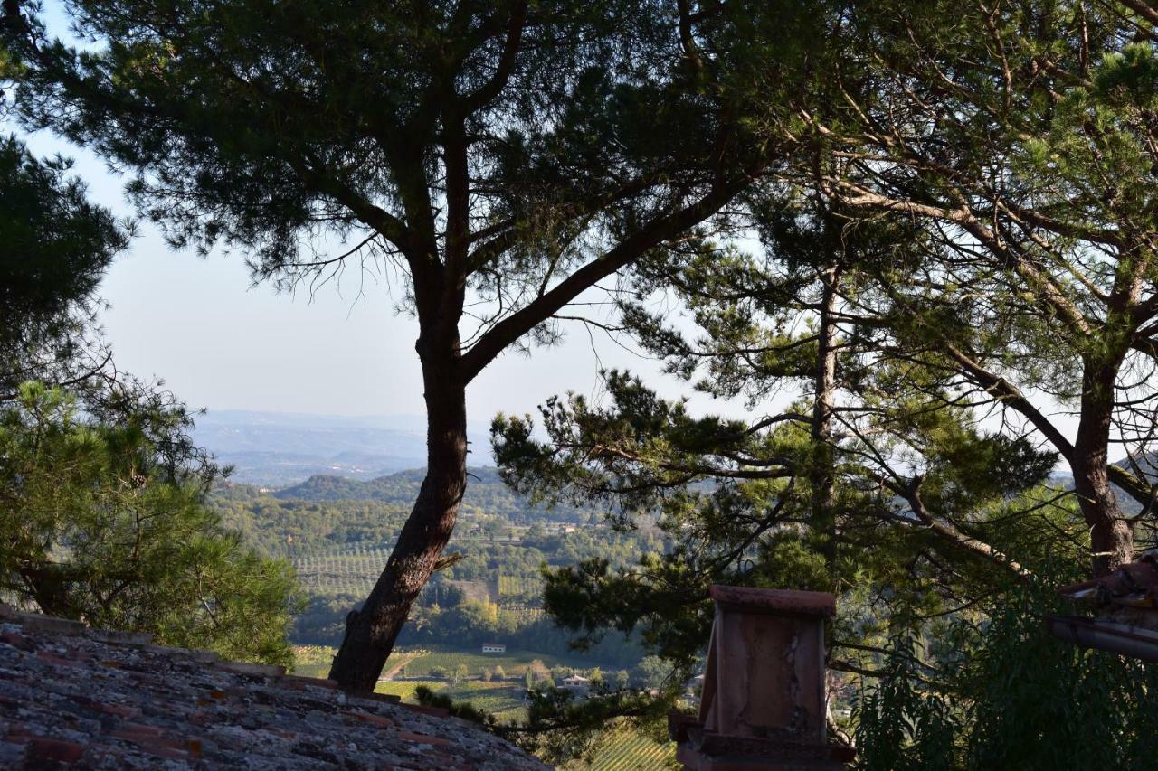 Il Buonumore Montepulciano Bagian luar foto